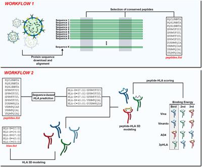 SARS-Arena: Sequence and Structure-Guided Selection of Conserved Peptides from SARS-related Coronaviruses for Novel Vaccine Development